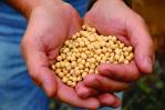 La soya de EE. UU. promueve, a través de la sostenibilidad, buena nutrición y salud global La soya de EE. UU. promueve, a través de la sostenibilidad, buena nutrición y salud global