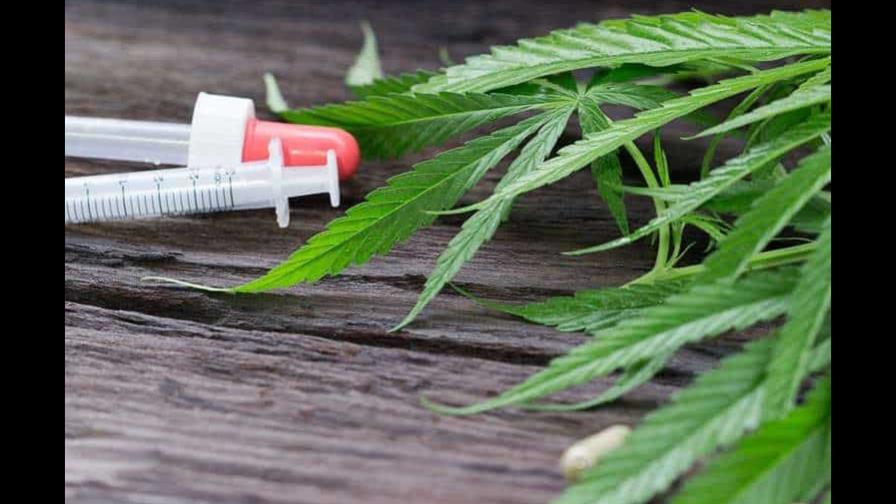 Marihuana podría prevenir la propagación de la COVID-19