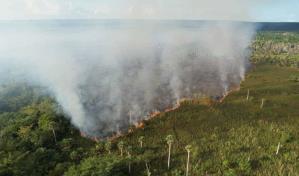 "Mayor&iacute;a de los incendios en Rep&uacute;blica Dominicana son provocados"