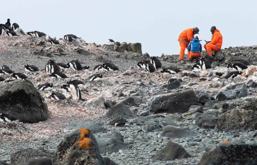 La Antártida: un viaje al fin del mundo para entender el mundo del futuro