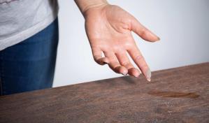 ¿Polvo? estos objetos lo eliminan fácilmente