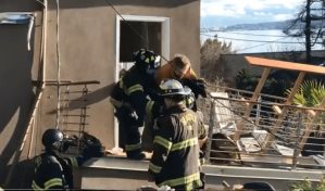 Rescatan a una perra atrapada 6 días por derrumbe en Seattle