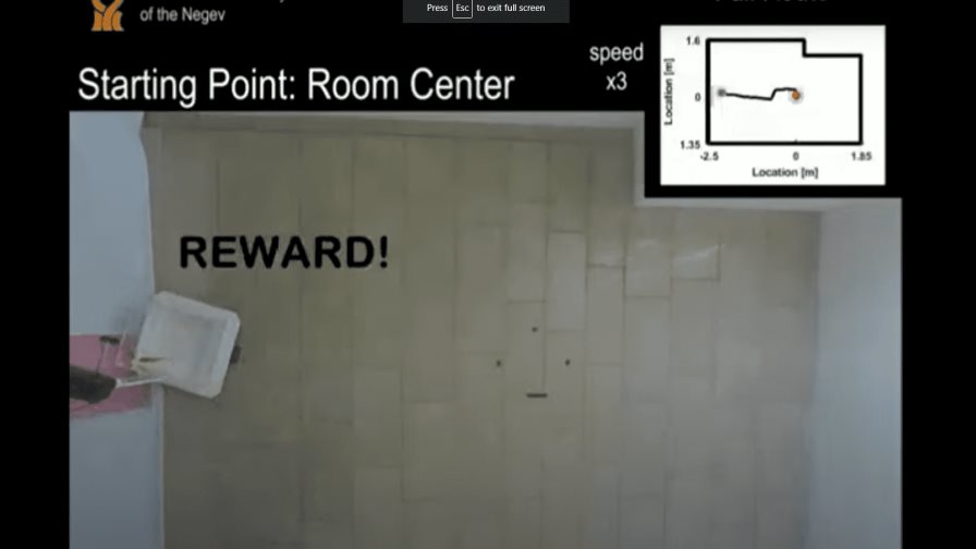 VIDEO ¿Pueden los peces conducir un vehículo en tierra? VIDEO ¿Pueden los peces conducir un vehículo en tierra?