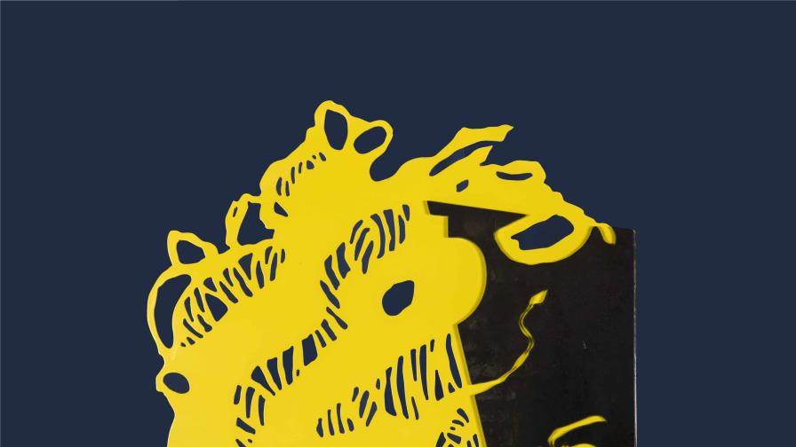 Exposición de Amaya Salazar en el Museo de Arte Moderno