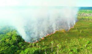 Apresan nacional haitiano quemando campo de ca&ntilde;a en El Seibo