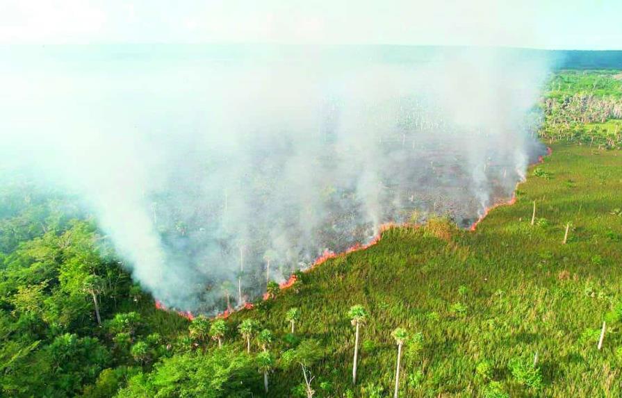 Orlando Jorge Mera: “Mayoría de los incendios en República Dominicana son provocados”