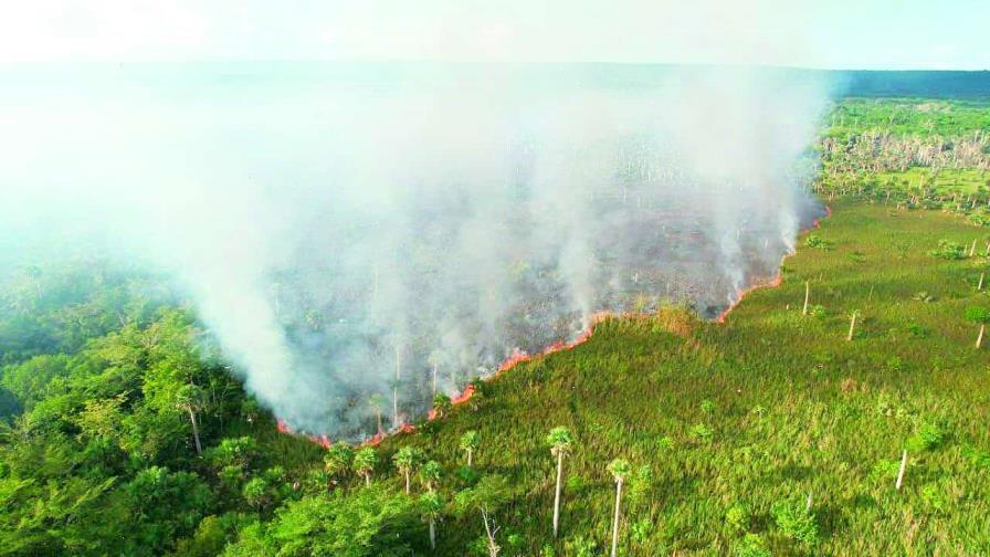 Apresan nacional haitiano quemando campo de caña en El Seibo