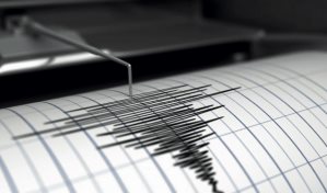 Temblor de magnitud 4,1 sacude zona andina del sur de Ecuador