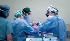 Trasplantan por primera vez dos riñones de cerdo a un humano