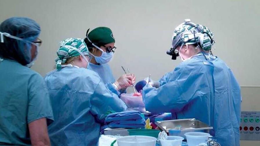 Trasplantan por primera vez dos riñones de cerdo a un humano