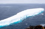 Inquietud por impacto del derretimiento de gigantesco iceberg en el Atlántico Sur