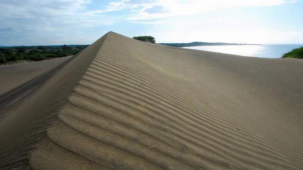 Diputado Julito Fulcar pide a Medio Ambiente mayor protección para Las Dunas de Baní