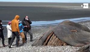 Chile, un sensor global de cambio climático