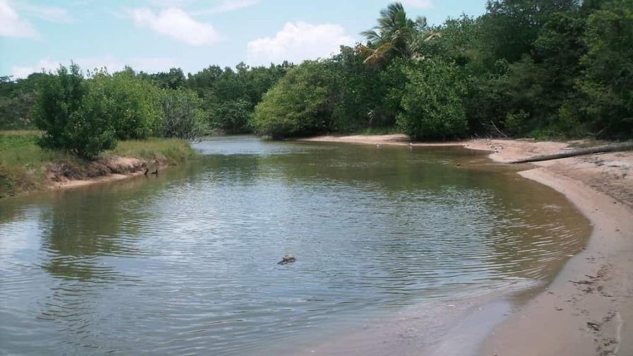 Presidente Abinader crea el Refugio de Vida Silvestre Humedales de Laguna Prieta