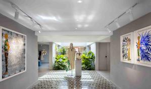 INDÓMITA, un espacio de retail de naturaleza indómita