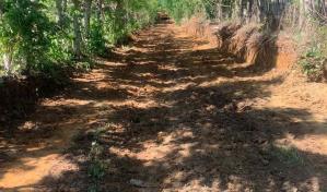 IAD rehabilita caminos interparcelarios en varias regiones del país