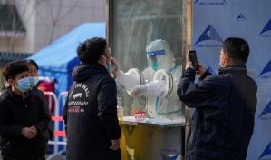 Sedes ol&iacute;mpicas de Pek&iacute;n-2022: Nido de P&aacute;jaro y Cinta de Hielo