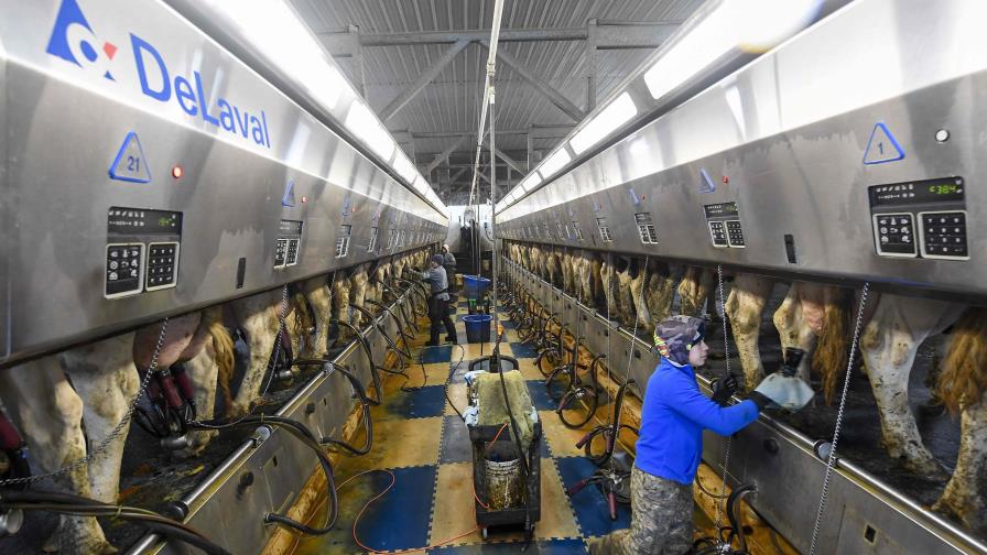Nueva York busca mejorar pago de tiempo extra a obreros del campo Nueva York busca mejorar pago de tiempo extra a obreros del campo