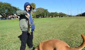 Advierten sobre lluvia de iguanas verdes en Florida por bajas temperaturas