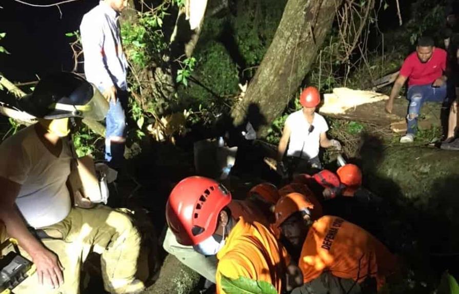 Muere hombre aplastado por un árbol en Santiago  mientras se protegía de las lluvias