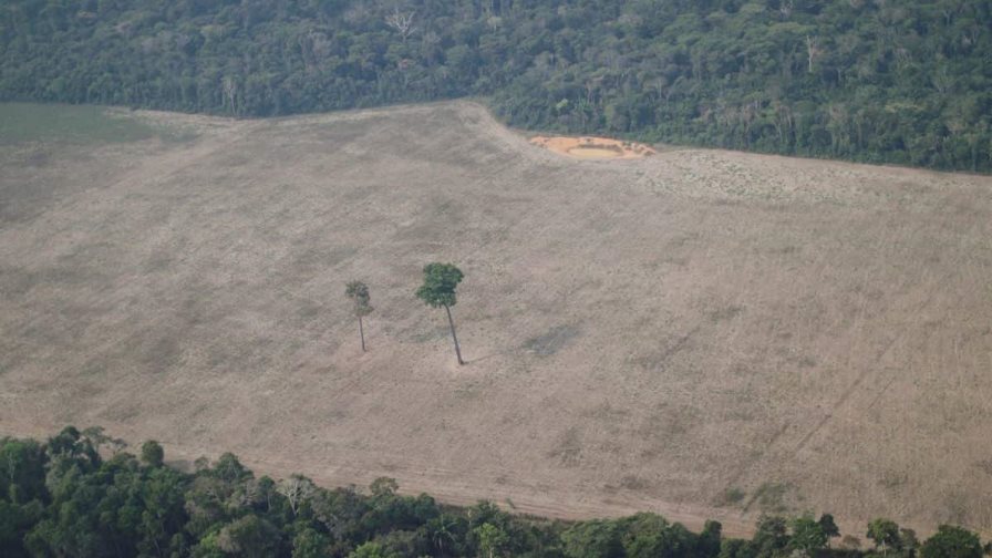 La deforestación de la Amazonía brasileña alcanza récord en enero La deforestación de la Amazonía brasileña alcanza récord en enero
