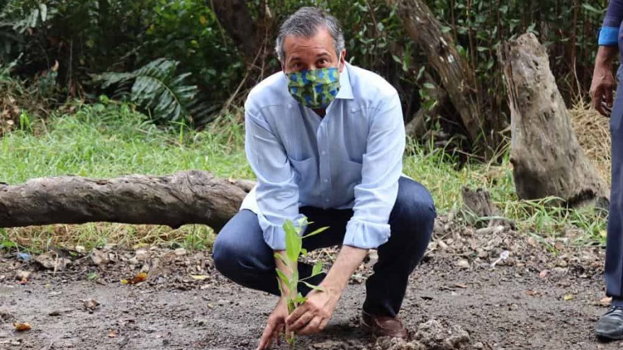 Medio Ambiente celebra el Día Mundial de los Humedales con plantación de manglar