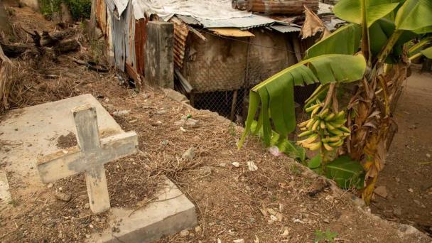 Se llevan hasta las puertas metálicas de los nichos en cementerio Cristo Redentor