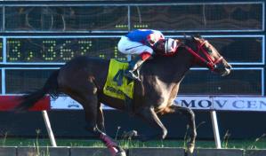 Abren nominaciones para cl&aacute;sico h&iacute;pico Criadores 2022