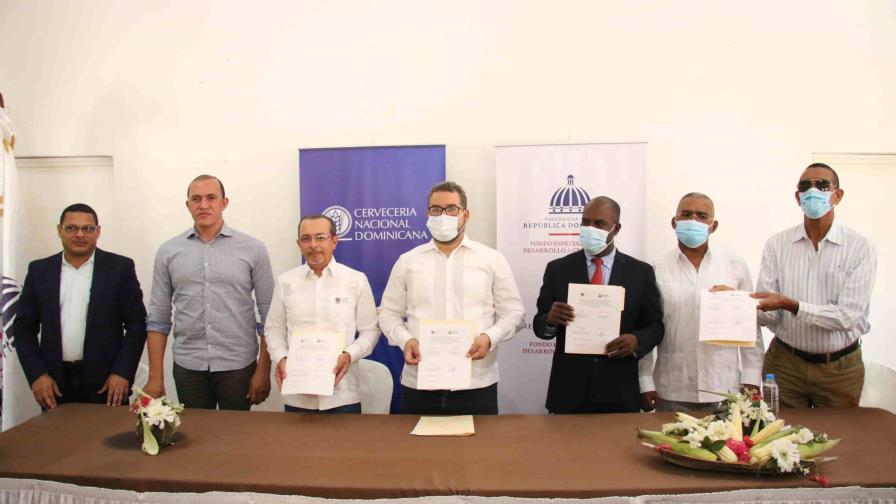 Sembrarán maíz para ser usado en la elaboración de cerveza