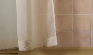 Quita el moho de las cortinas del baño de esta manera