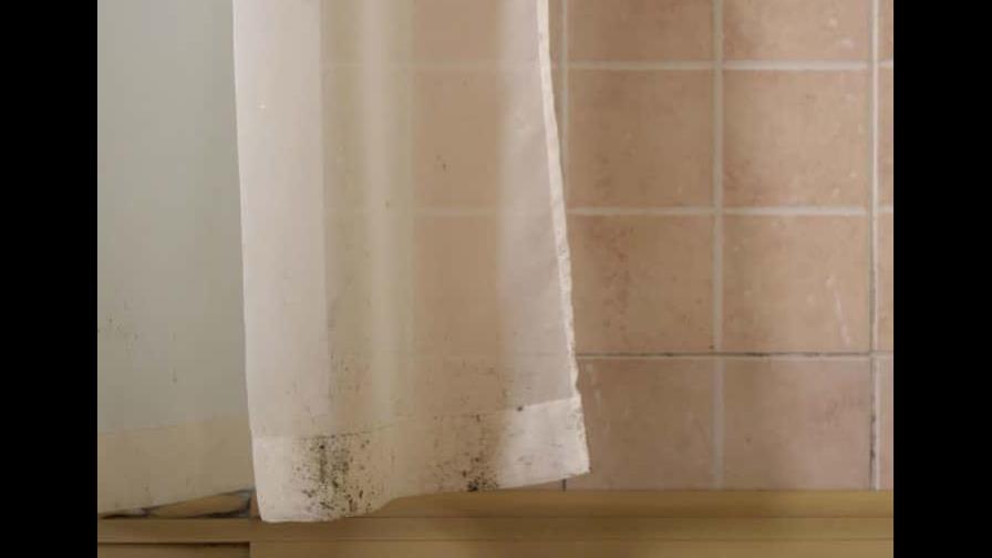 Quita el moho de las cortinas del baño de esta manera