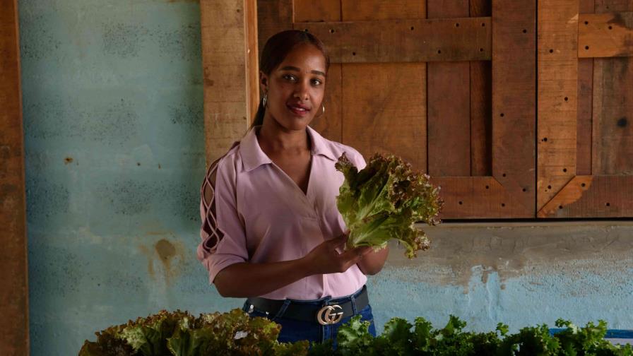 De agricultores desalojados de Valle Nuevo a proveedores del Estado De agricultores desalojados de Valle Nuevo a proveedores del Estado