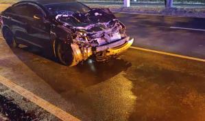 Peligro en autopista 6 de Noviembre por animales que causan accidentes