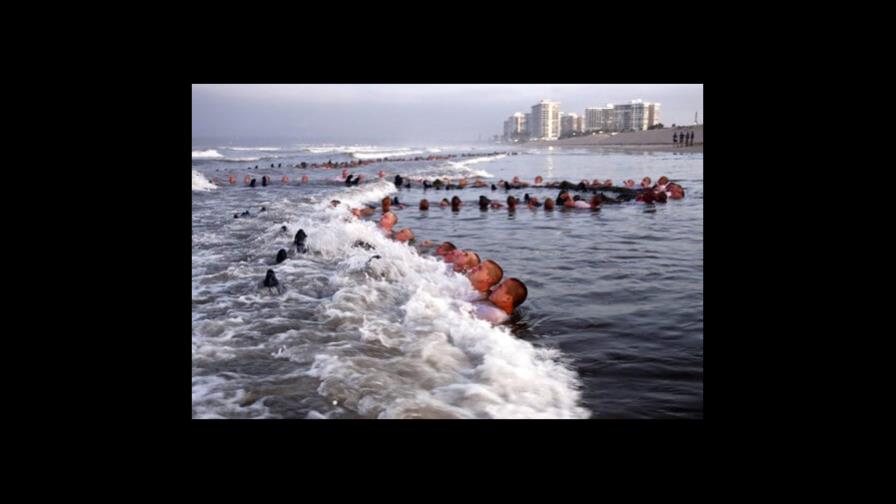 Armada de EEUU identifica a aspirante a SEAL que murió tras completar la Semana del Infierno Armada de EEUU identifica a aspirante a SEAL que murió tras completar la Semana del Infierno
