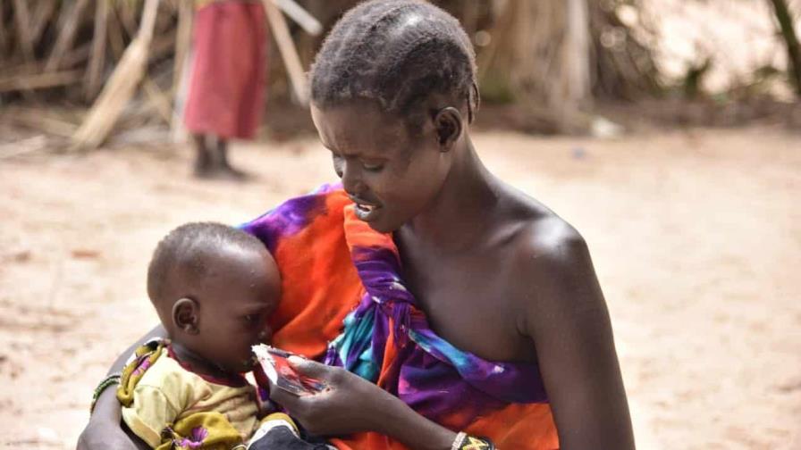 5,5 millones de niños de menos de 5 años sufren malnutrición en Cuerno África