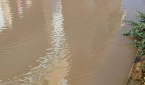 El trabajo que hay que hacer en el centro Natalia Blanco es externo, dice director del Distrito Educativo 12-01