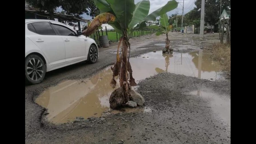 Siembran plátanos en carretera Cenoví-San José en protesta por su mal estado Siembran plátanos en carretera Cenoví-San José en protesta por su mal estado