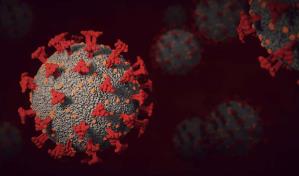 Investigación arroja que mutaciones genéticas pueden reducir la inmunidad celular ante el coronavirus