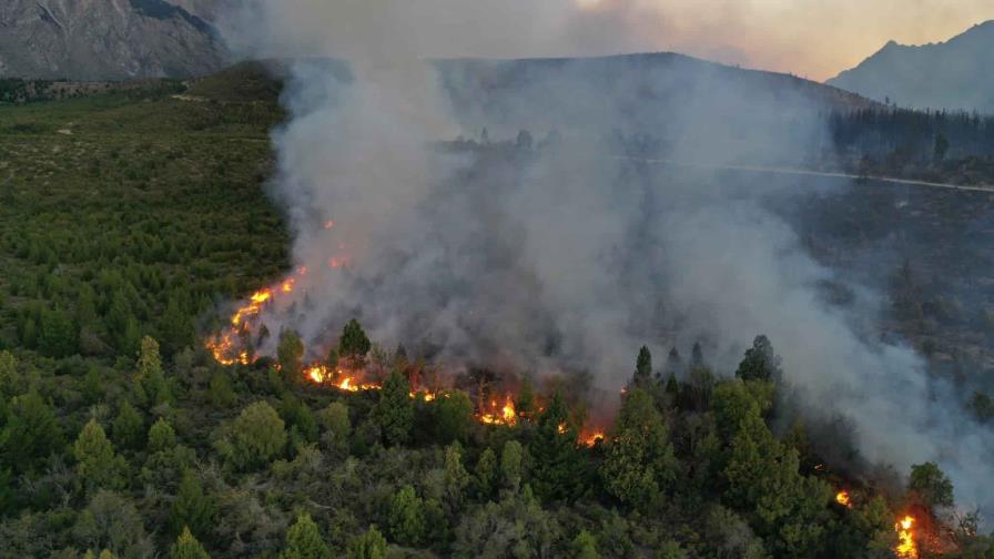 Incendios forestales arrasan 300,000 hectáreas en el noreste de Argentina