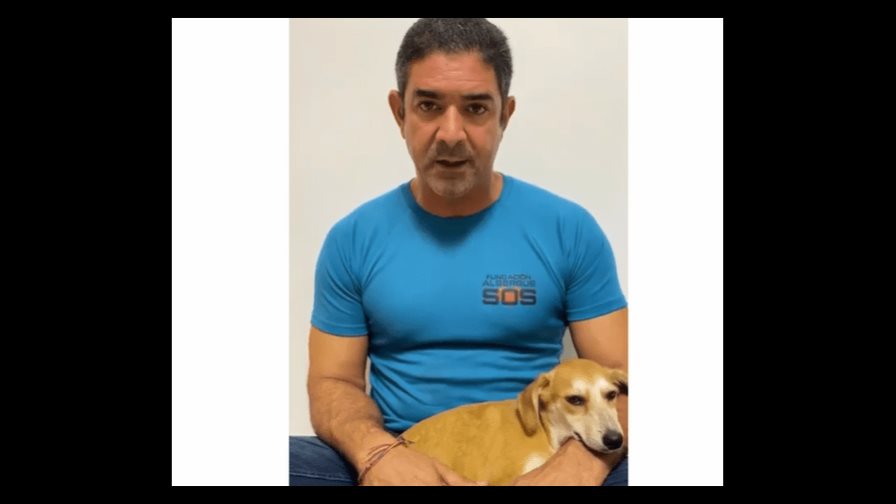 Fundación aclara Roberto Fulcar no fue quien puso nombre de las Mirabal a las perritas Fundación aclara Roberto Fulcar no fue quien puso nombre de las Mirabal a las perritas