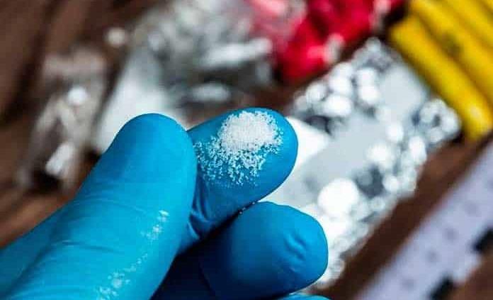 Cocaína adulterada que mató a 24 personas en Argentina tenía fuerte analgésico para elefantes