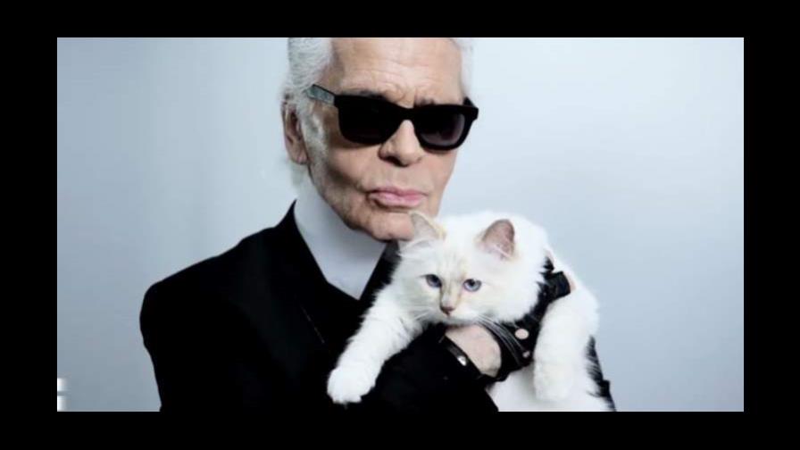 Subastarán nuevas piezas de Karl Lagerfeld, incluidos accesorios de su gata Subastarán nuevas piezas de Karl Lagerfeld, incluidos accesorios de su gata