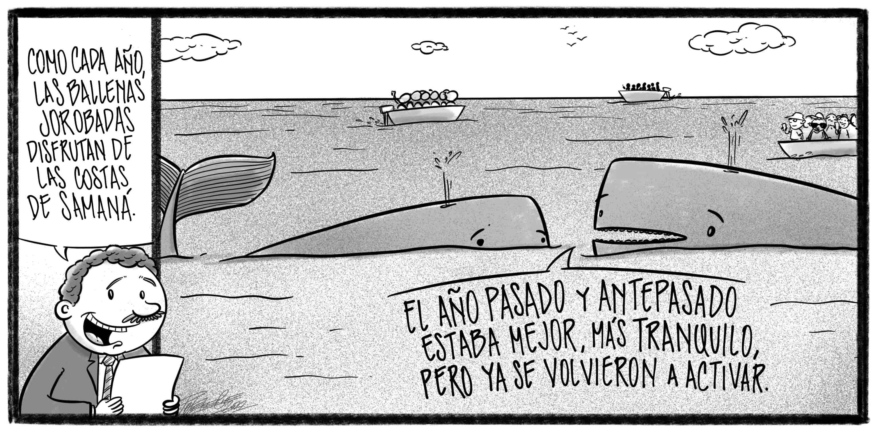 Caricatura de Noticiero Poteleche 12 febrero 2022