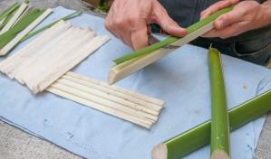 Papiro, el papel de los faraones