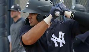 Dominicanos llamados a no fallar en el Este de la Liga Americana