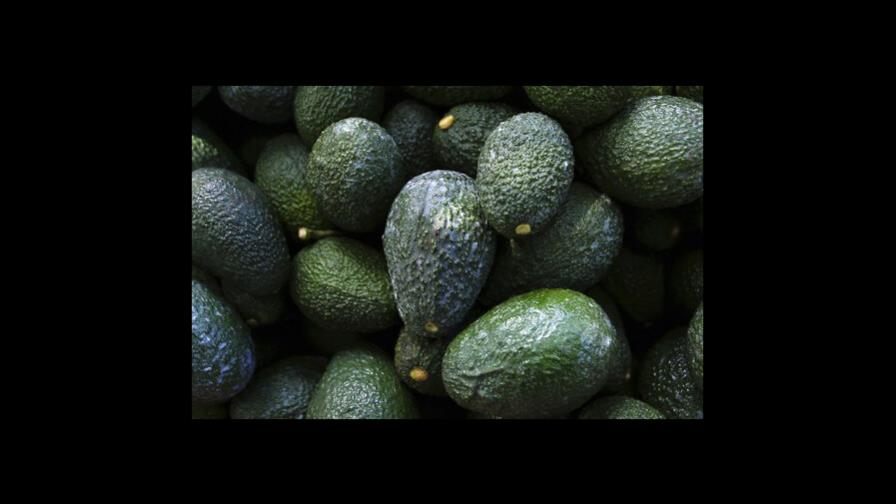 Presidente mexicano ve conspiración detrás de veto aguacate