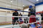 Federación busca suplentes para conformar su selección nacional de boxeo Federación busca suplentes para conformar su selección nacional de boxeo