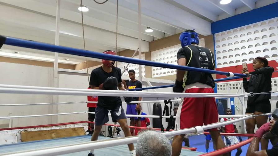 Federación busca suplentes para conformar su selección nacional de boxeo