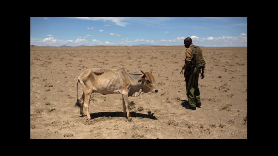 Una guerra nuclear causaría una hambruna global y mataría a miles de millones Una guerra nuclear causaría una hambruna global y mataría a miles de millones