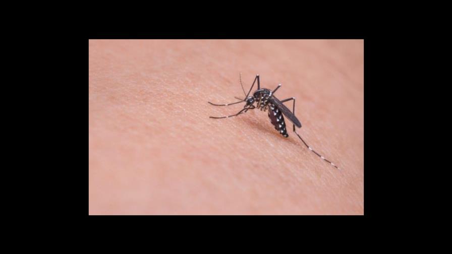 Cómo usar correctamente los repelentes de insectos